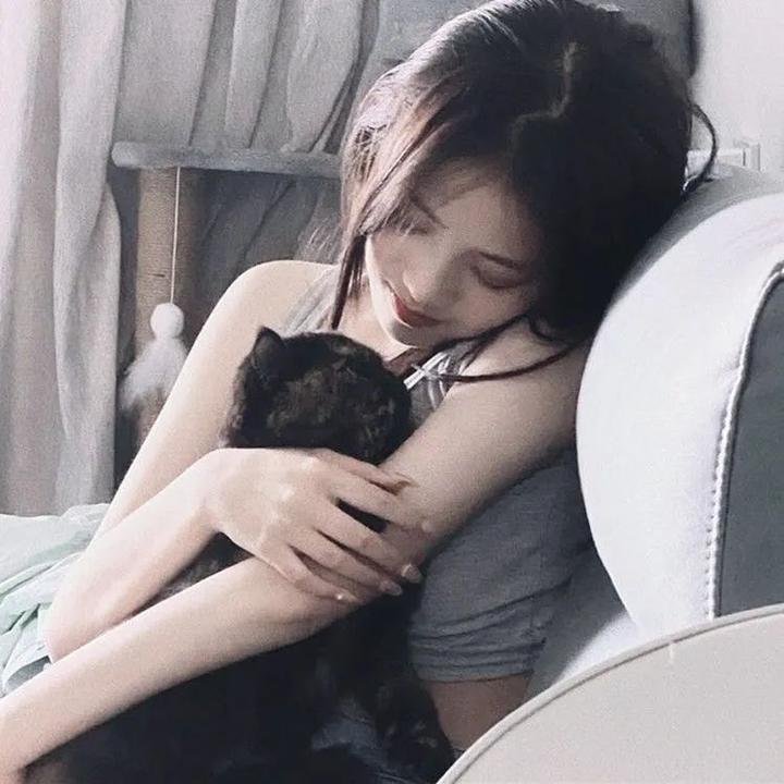 黑猫警长之翡翠之星